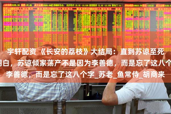 宇轩配资 《长安的荔枝》大结局：直到苏谅至死不肯原谅李善德，才明白，苏谅倾家荡产不是因为李善德，而是忘了这八个字_苏老_鱼常侍_胡商来