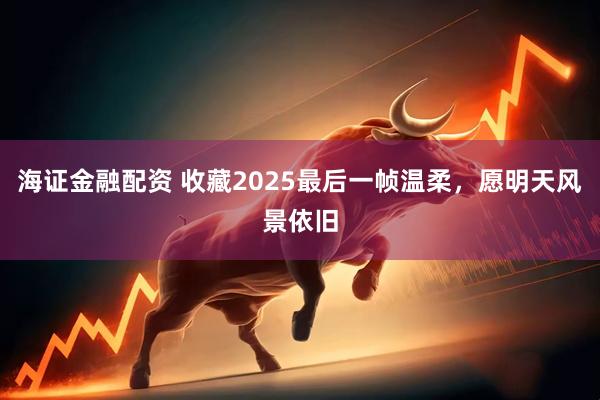 海证金融配资 收藏2025最后一帧温柔，愿明天风景依旧